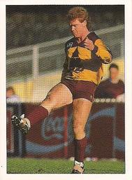 1990 Select AFL Stickers #131 Brad Hardie Front